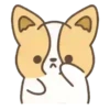 Dog Zeus 6