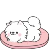White Dog Popup (Mov) 7