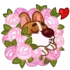 Muffin Pup 5