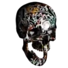 Cráneo total 10