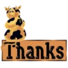 THANKS 6