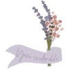 Из всех 27 11