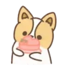 Dog Zeus 7