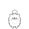 White Dog Popup (Mov) 10