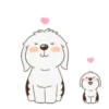 Perritos lindos 5