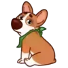 Muffin Pup 7