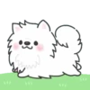 White Dog Popup (Mov) 12