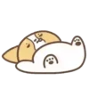 Dog Zeus 9
