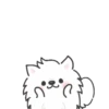 White Dog Popup (Mov) 15