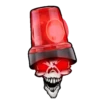 Cráneo total 13