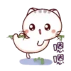 Cat's meow  .MOV 12
