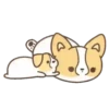 Dog Zeus 11