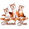 THANKS 9