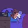 Dormir 17