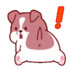PUPPY dogMOV 12