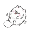 White Dog Popup (Mov) 17