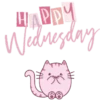WEDNESday MiercolesMOV 17