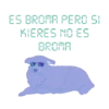 De todo 36 16