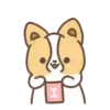 Dog Zeus 16