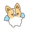 Dog Zeus 17