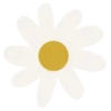 Flores 1 11