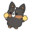 Dog Zeus 18