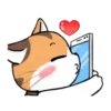 ️ corazones mov.  ️ 17