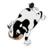 The Volcano Mascot .MOV 8