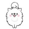 White Dog Popup (Mov) 20