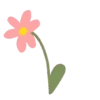 Flores 1 14