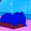 Dormir 20