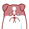 PUPPY dogMOV 23