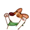 Muffin Pup 10
