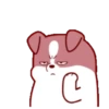 PUPPY dogMOV 24