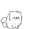 White Dog Popup (Mov) 22