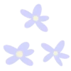 Flores 1 19