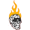 Cráneo total 24