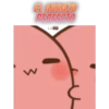 PAPITAS PINK 26