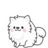 White Dog Popup (Mov) 25