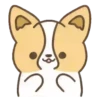 Dog Zeus 27