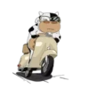 The Volcano Mascot .MOV 15