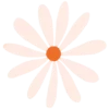Flores 1 26