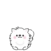 White Dog Popup (Mov) 28