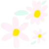 Flores 1 29