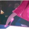 Roger and Jessica Rabbit 30