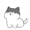 Perrito Cute (Mov) 5