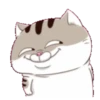 Cats1 5