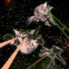 Gatitos Locos 2 6