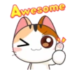 Cats1 6