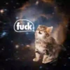 Gatitos Locos 2 7